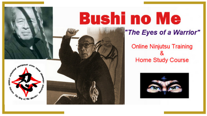 Bushi no Me 'Eyes of a Warrior' online Ninjutsu training course